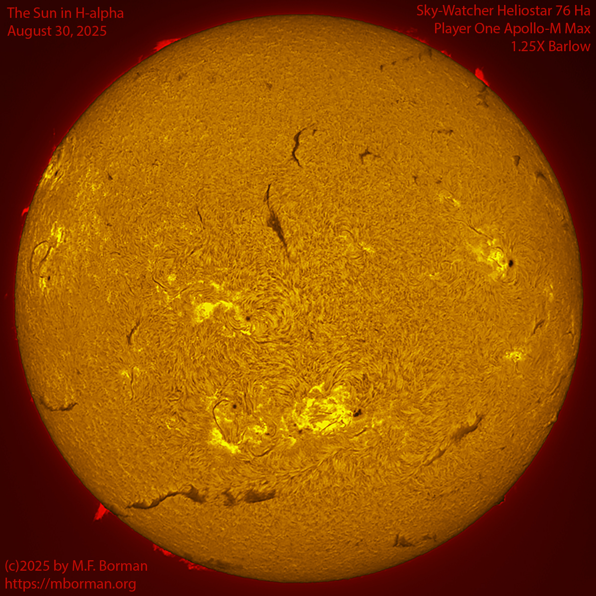 Solar image in h-alpha 08/30/25