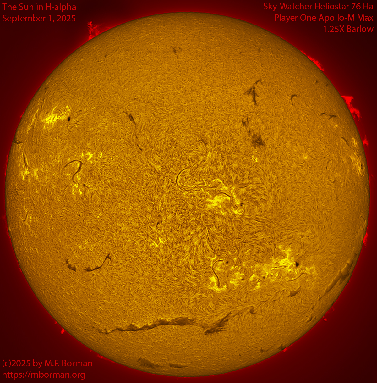 Solar image in h-alpha 09/01/25