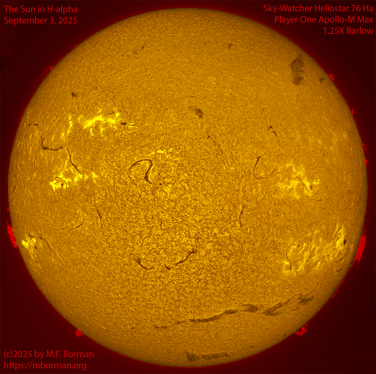 Solar image in h-alpha 09/03/25