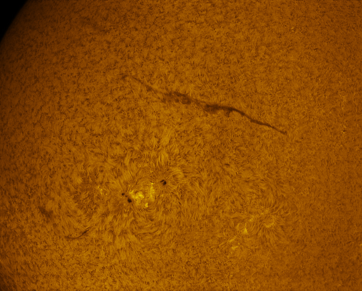 Sunspot group 2585 in h-alpha 09/04/2016