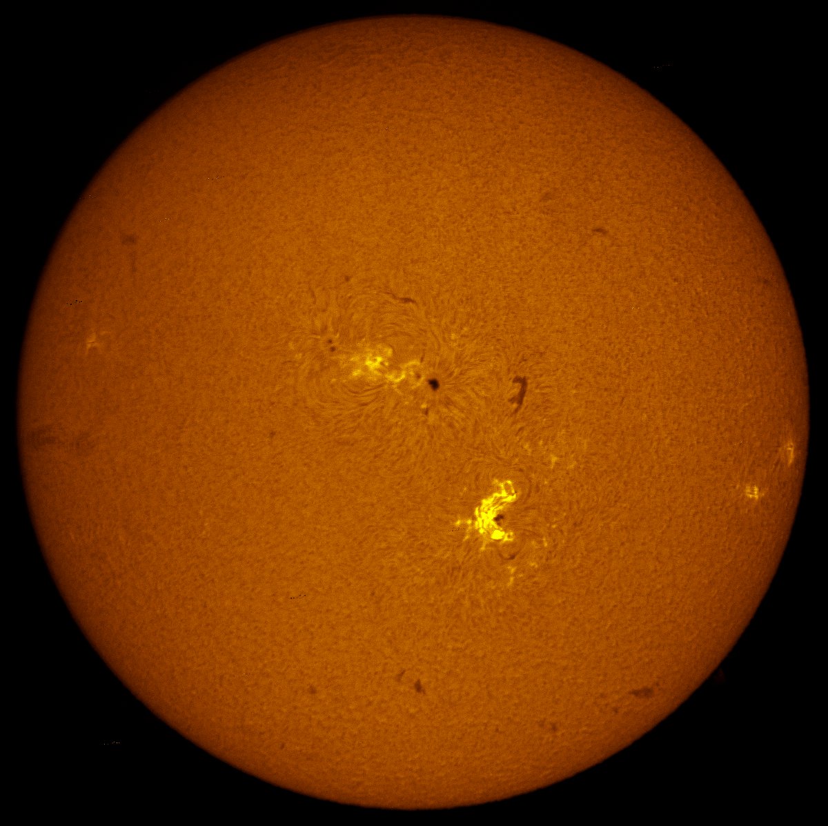 Solar disk in h-alpha 09/04/2017