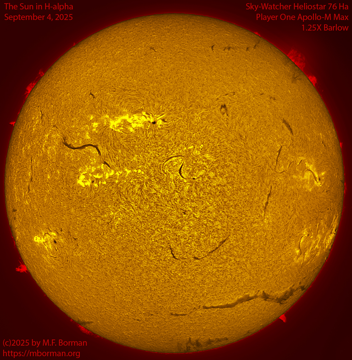 Solar image in h-alpha 09/04/25