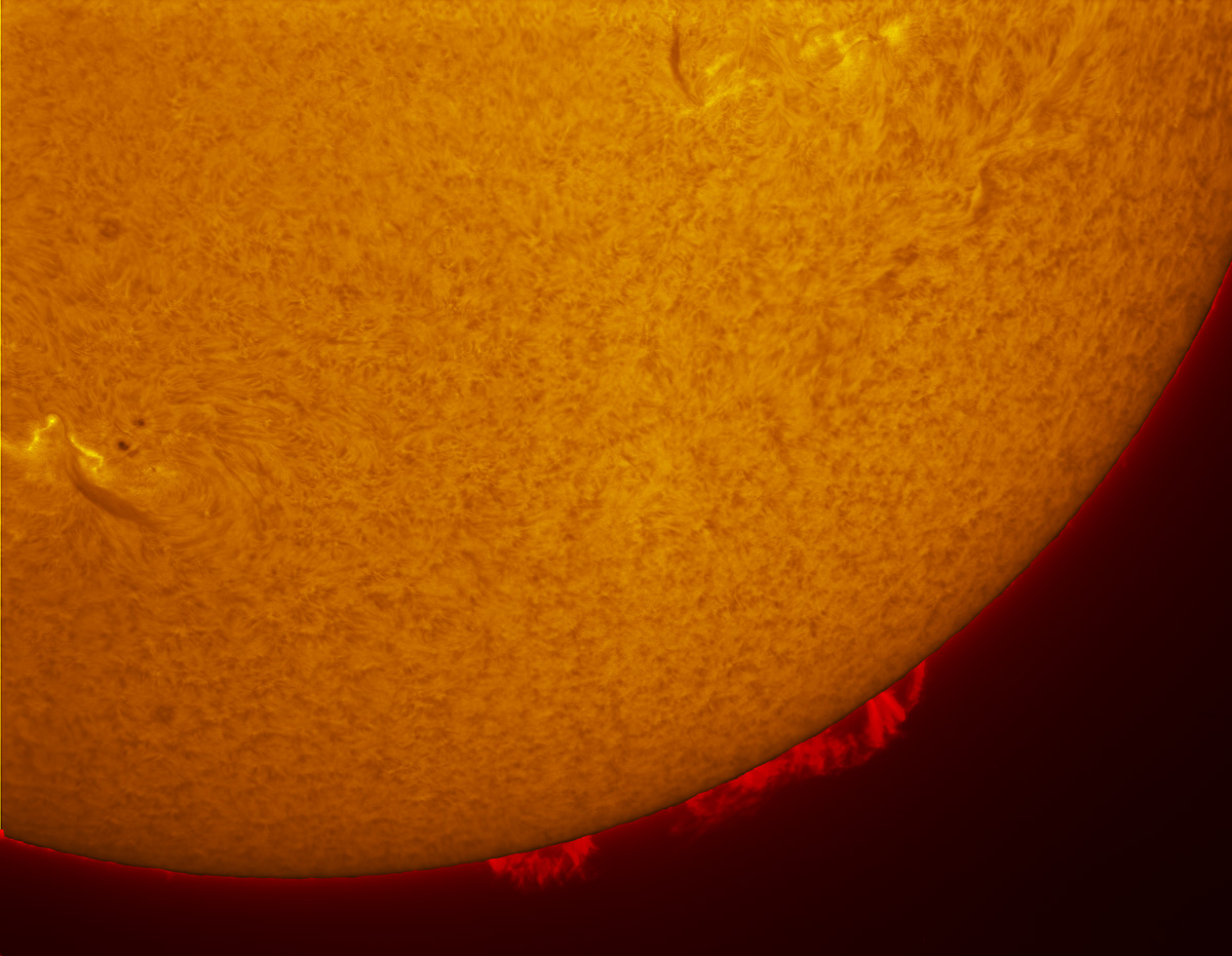 Prominences in h-alpha 09/07/2014