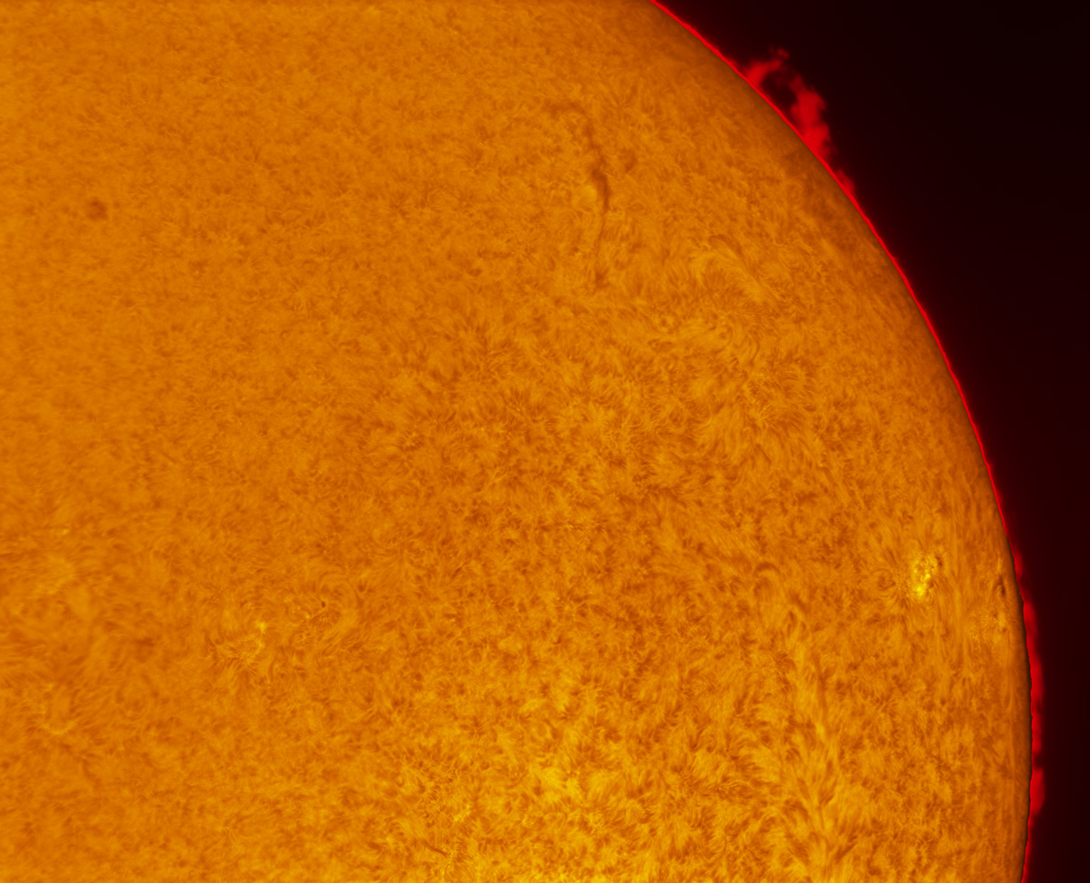 Prominences in h-alpha 09/07/2014