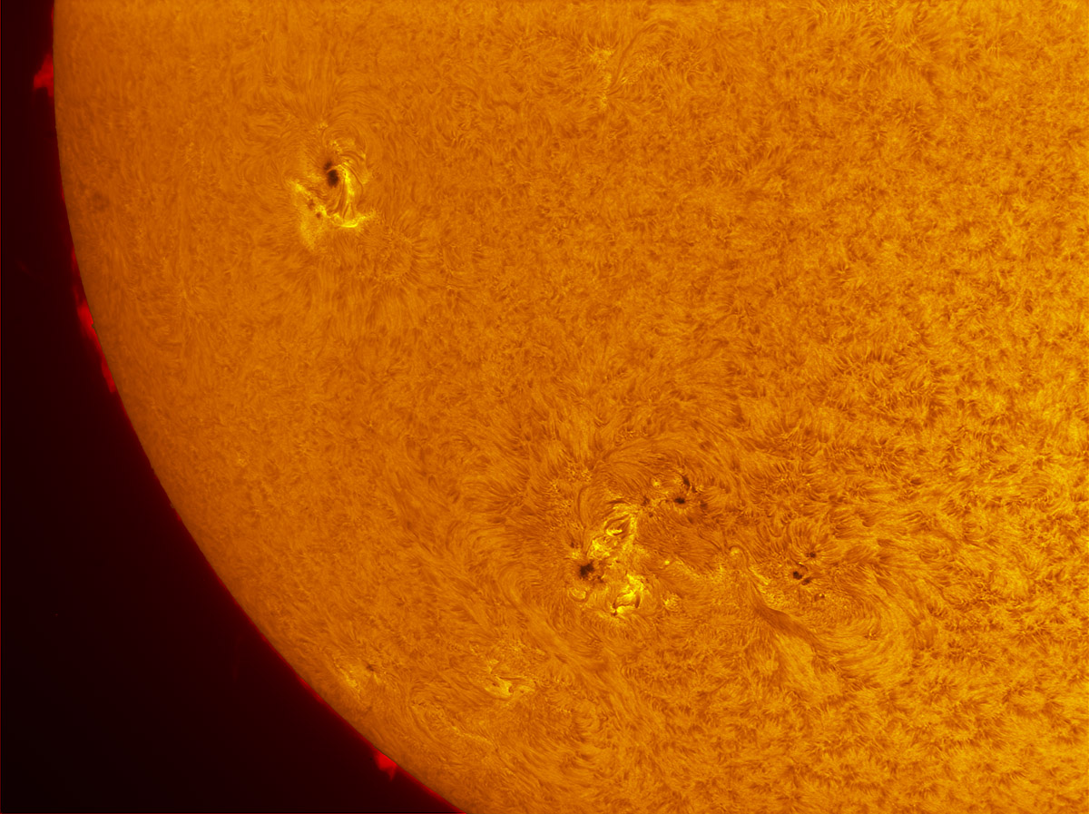 Sunspots 2155 through 2159 in h-alpha 09/07/2014