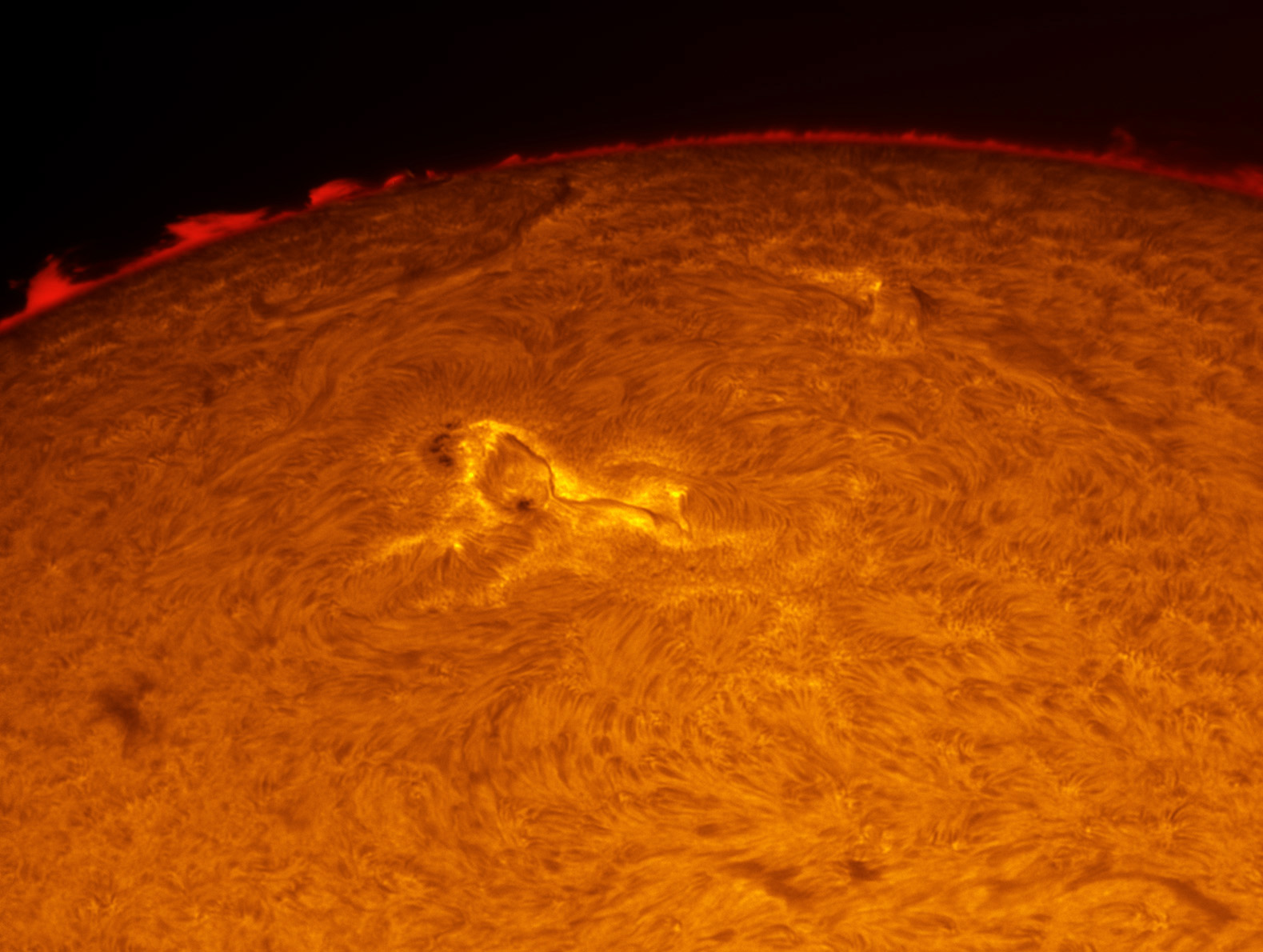 Sunspot 1564 in h-alpha 09/09/2012