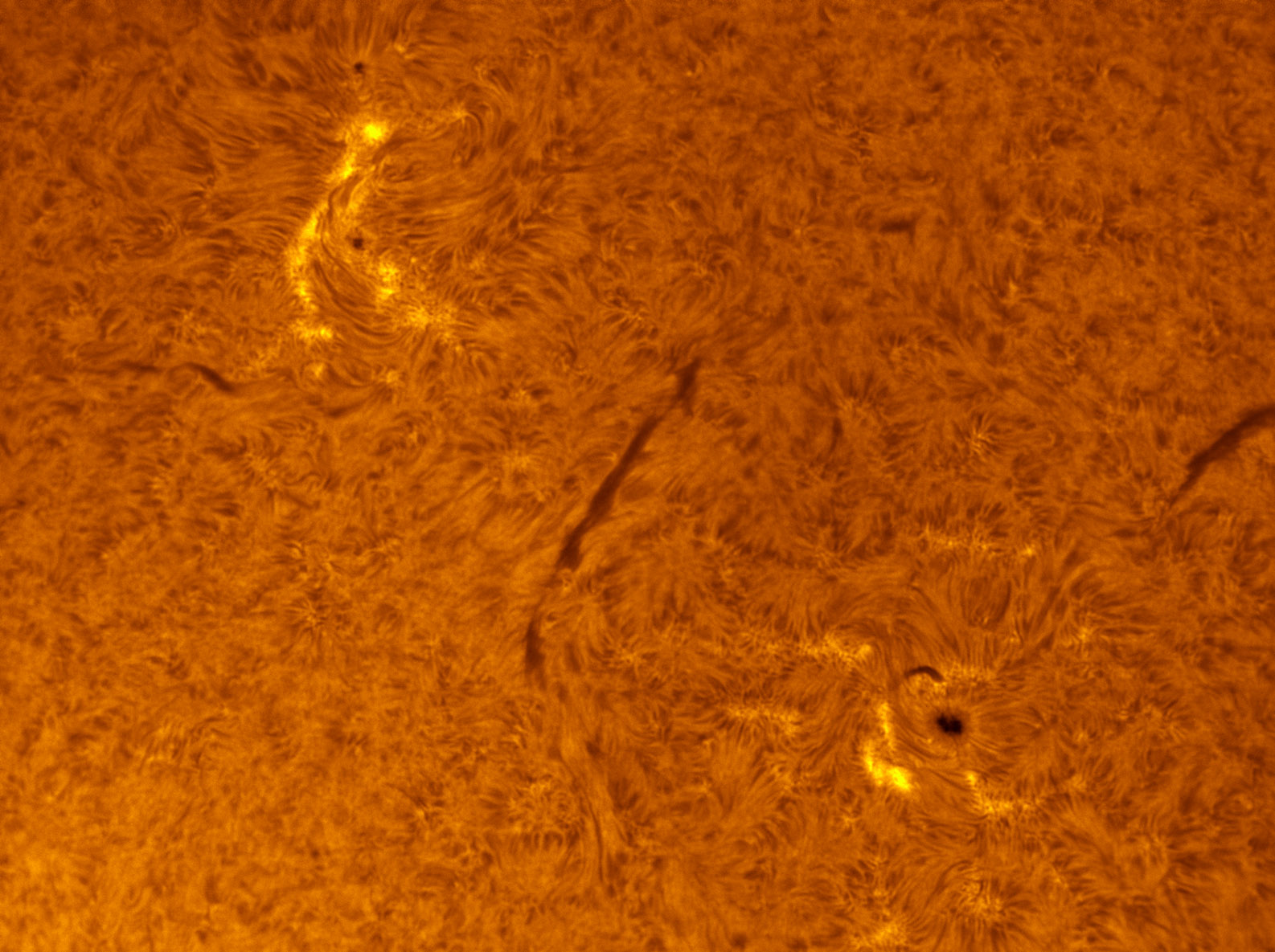 Sunspots 1566 and 1567 in h-alpha 09/09/2012