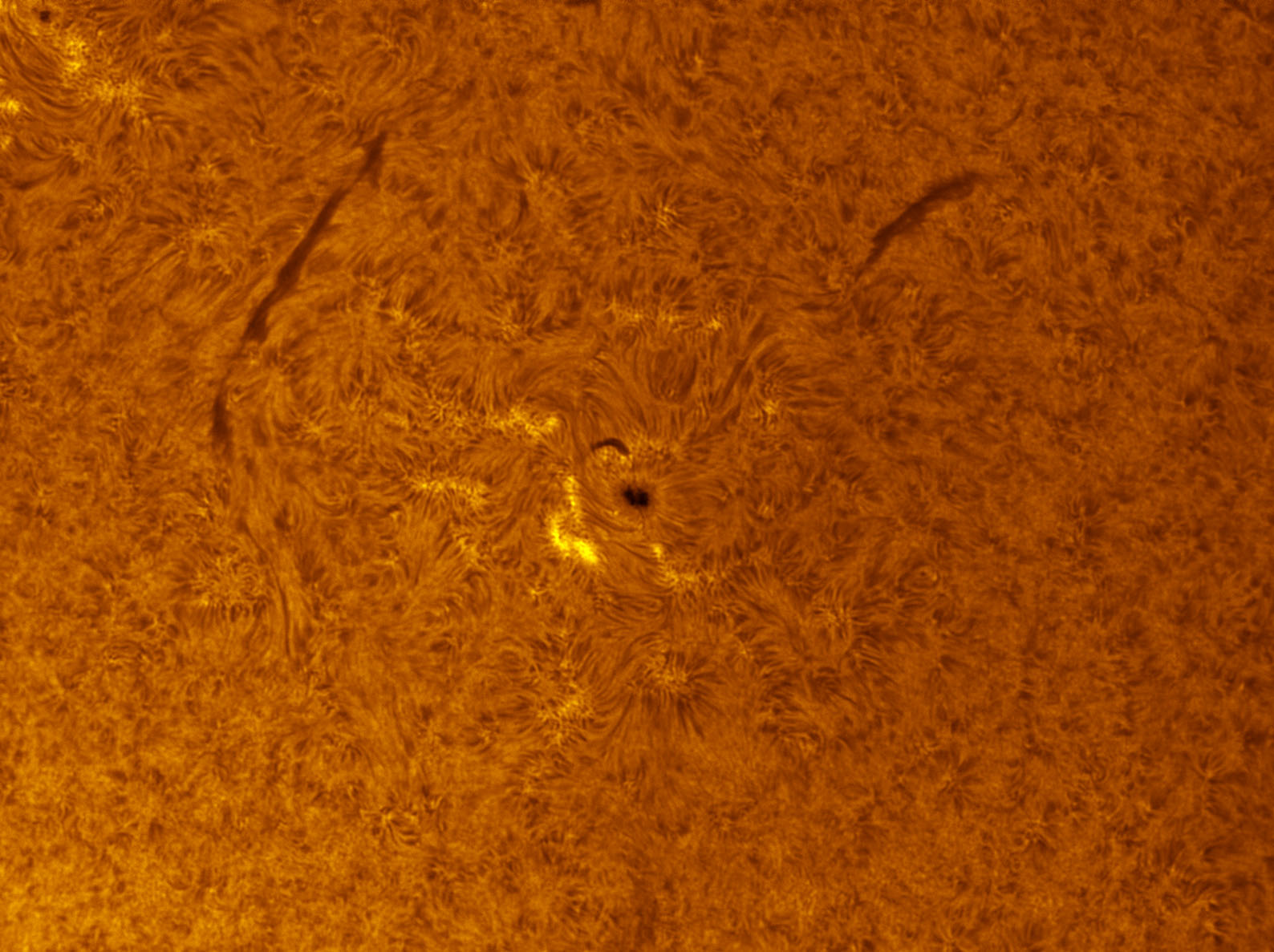 Sunspot 1566 in h-alpha 09/09/2012