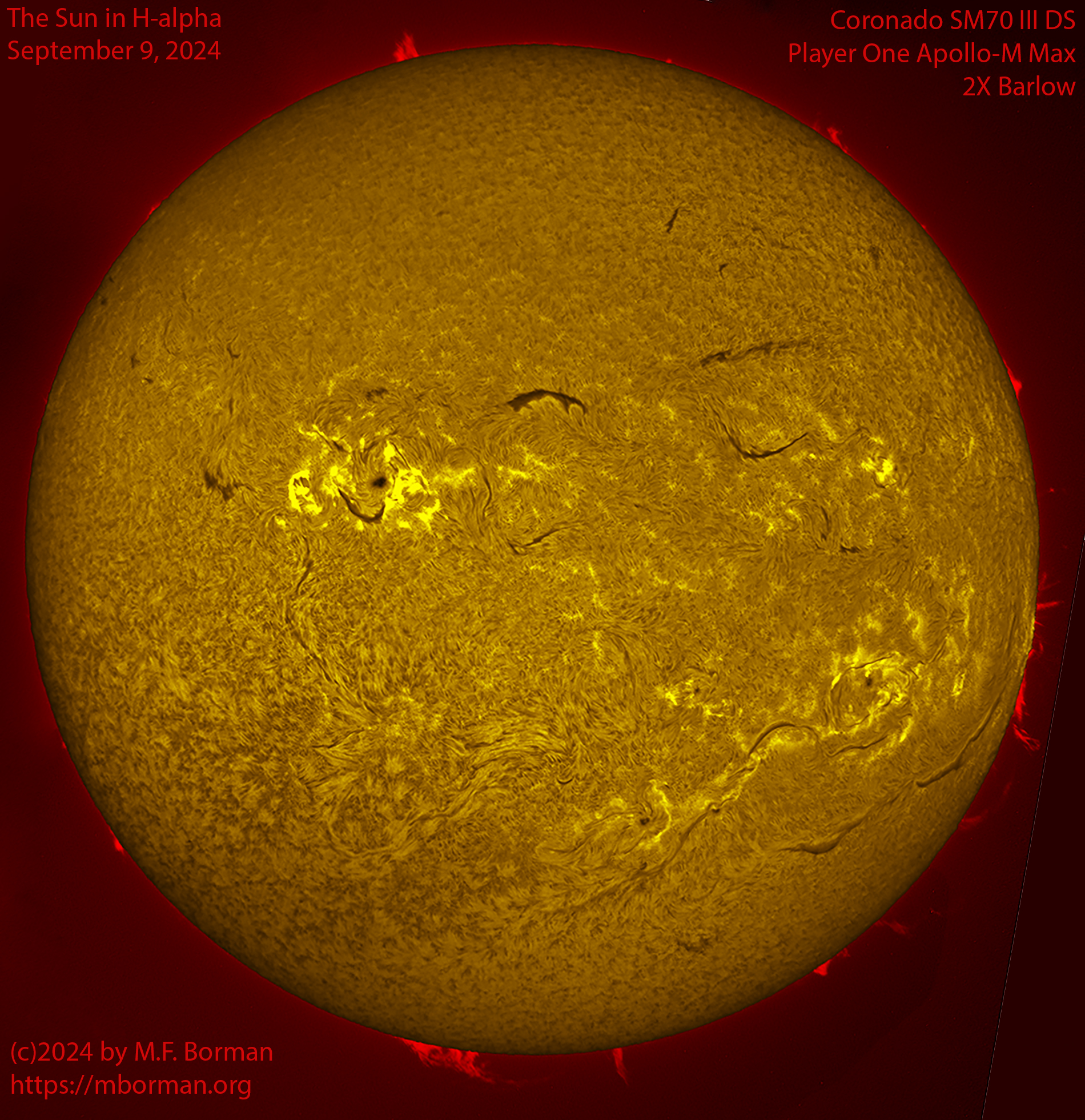 Solar image in h-alpha 09/09/24
