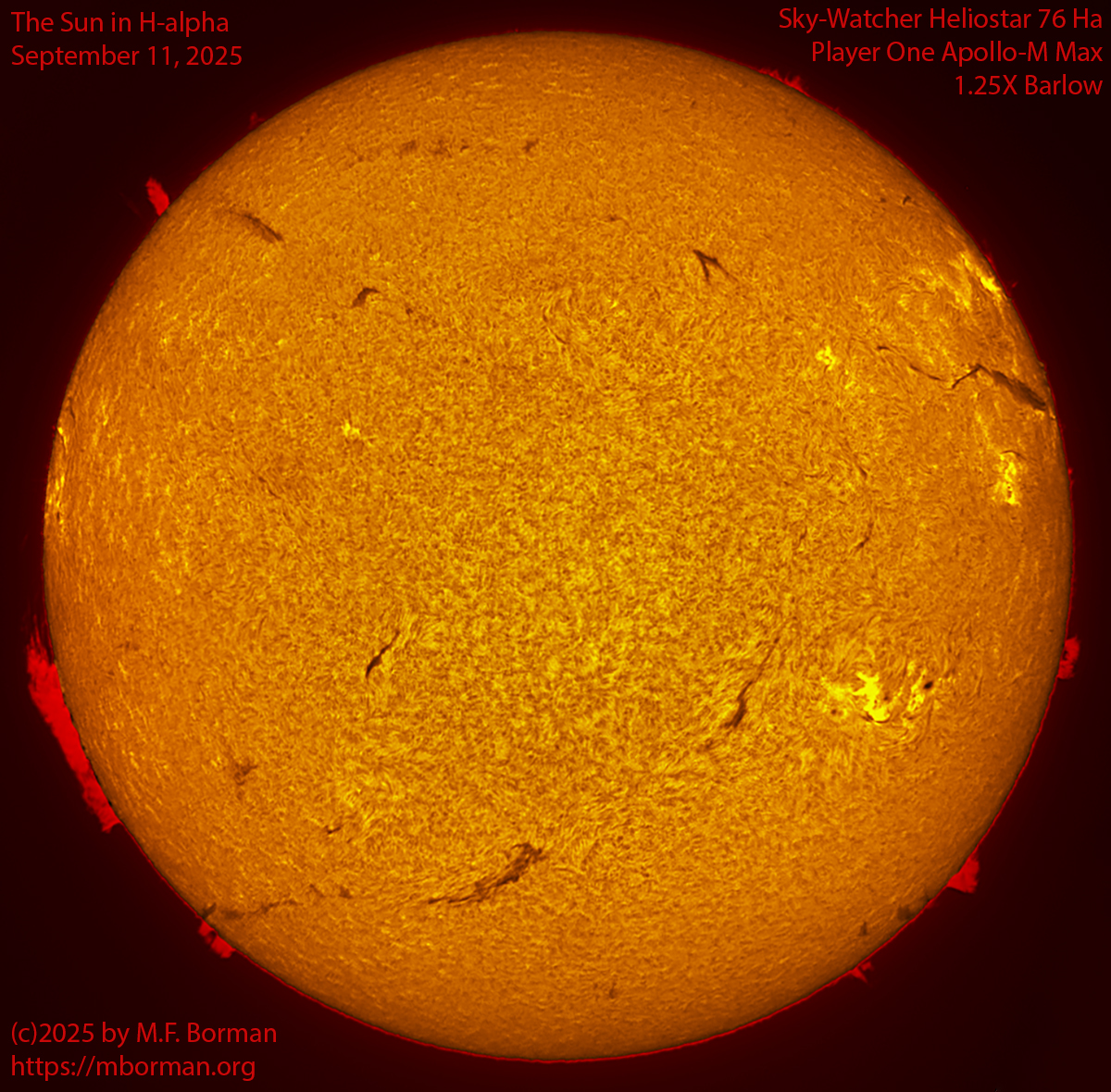 Solar image in h-alpha 09/11/25