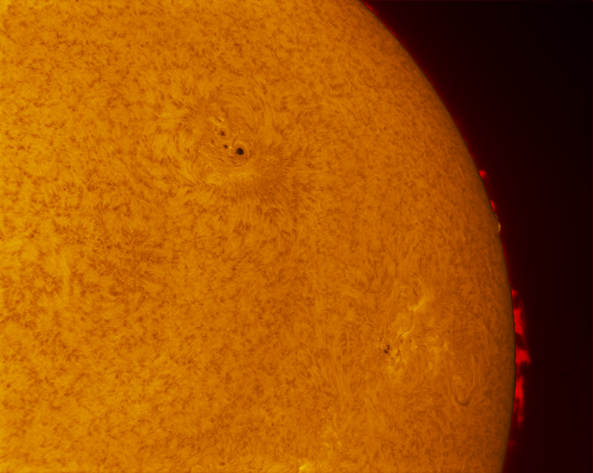 Sunspots 2157 and 2158 in h-alpha 09/13/2014