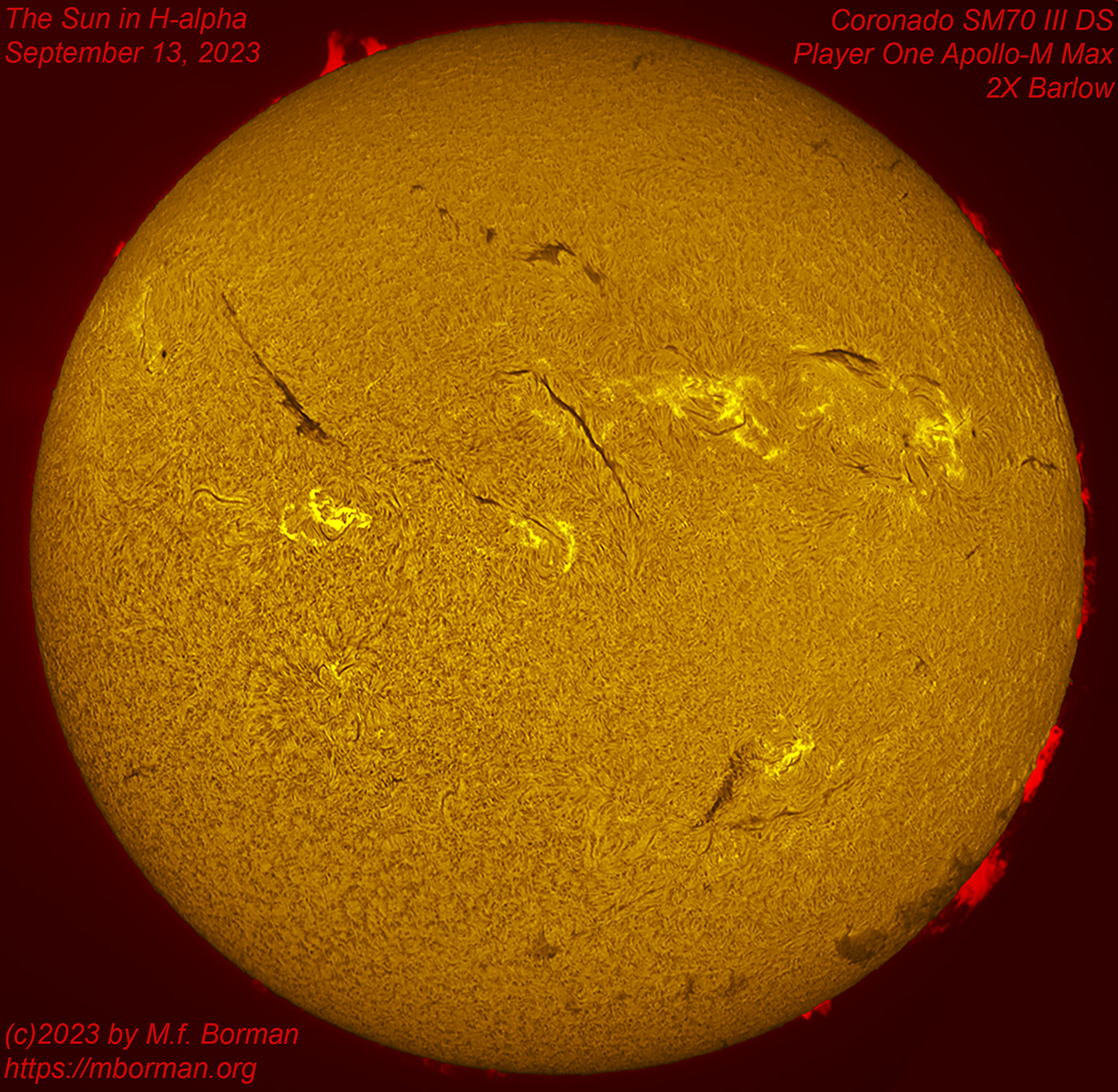 Solar disk in h-alpha 09/13/2023