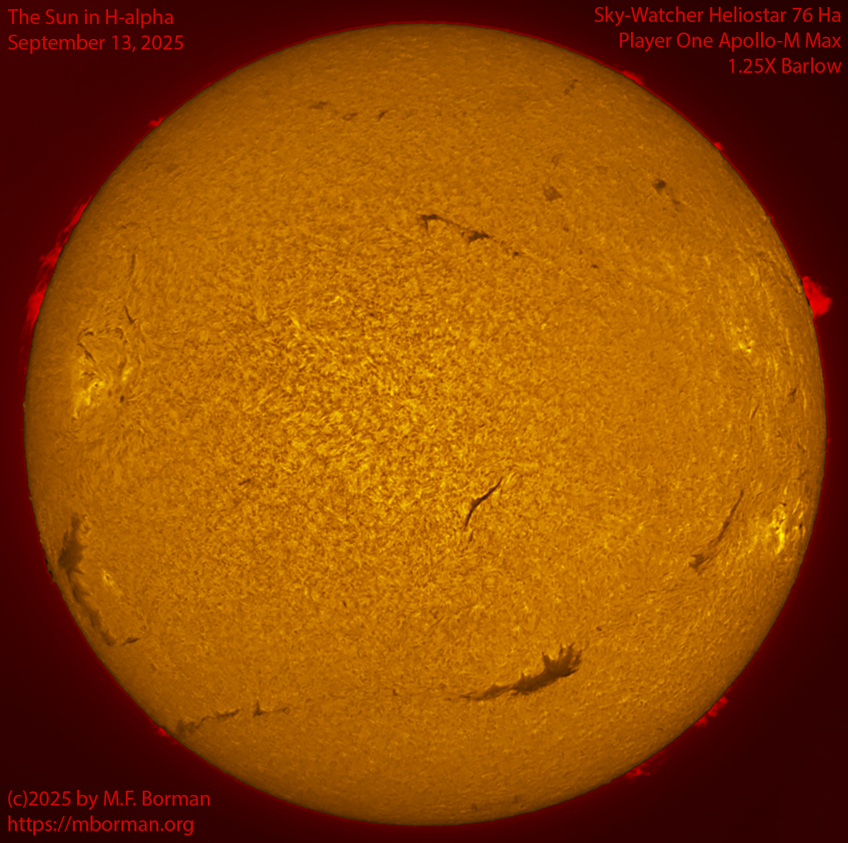 Solar image in h-alpha 09/13/25