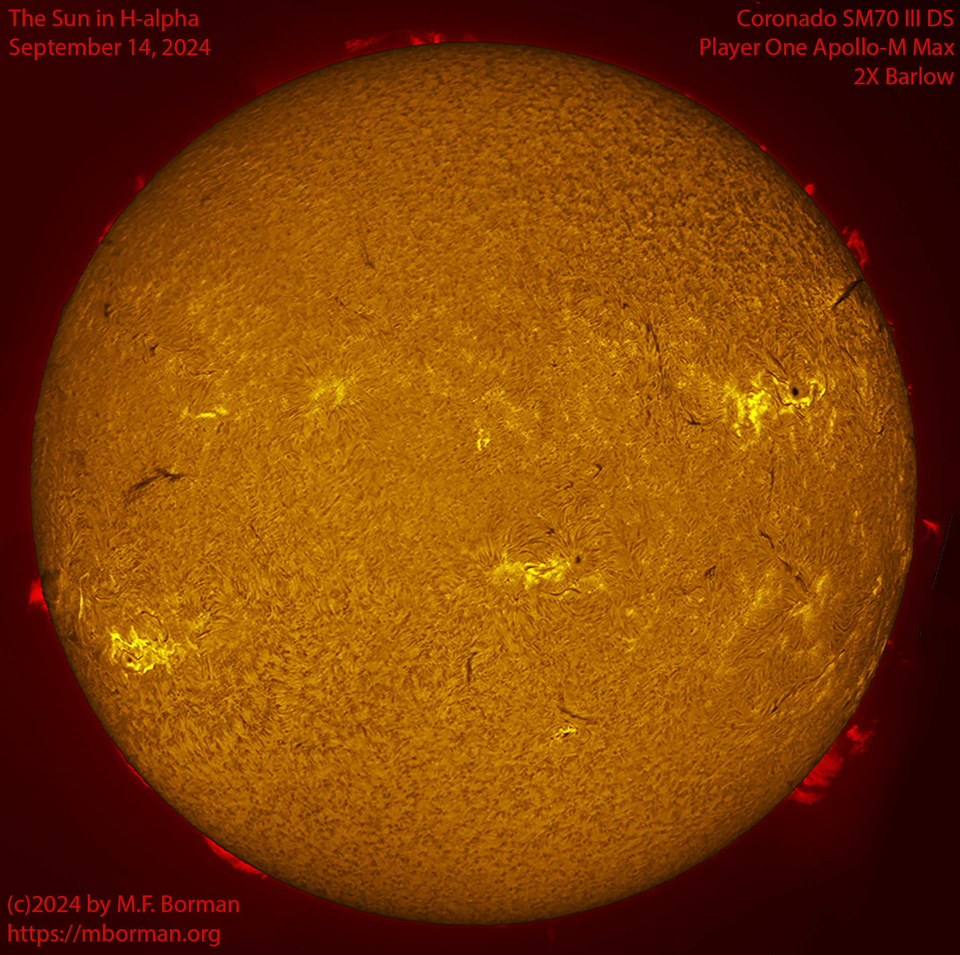 Solar image in h-alpha 09/14/24