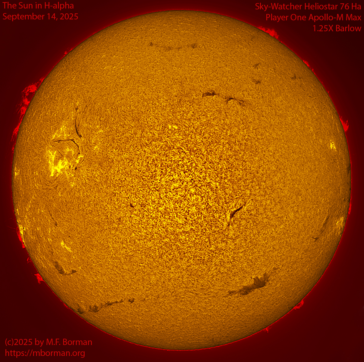 Solar image in h-alpha 09/14/25