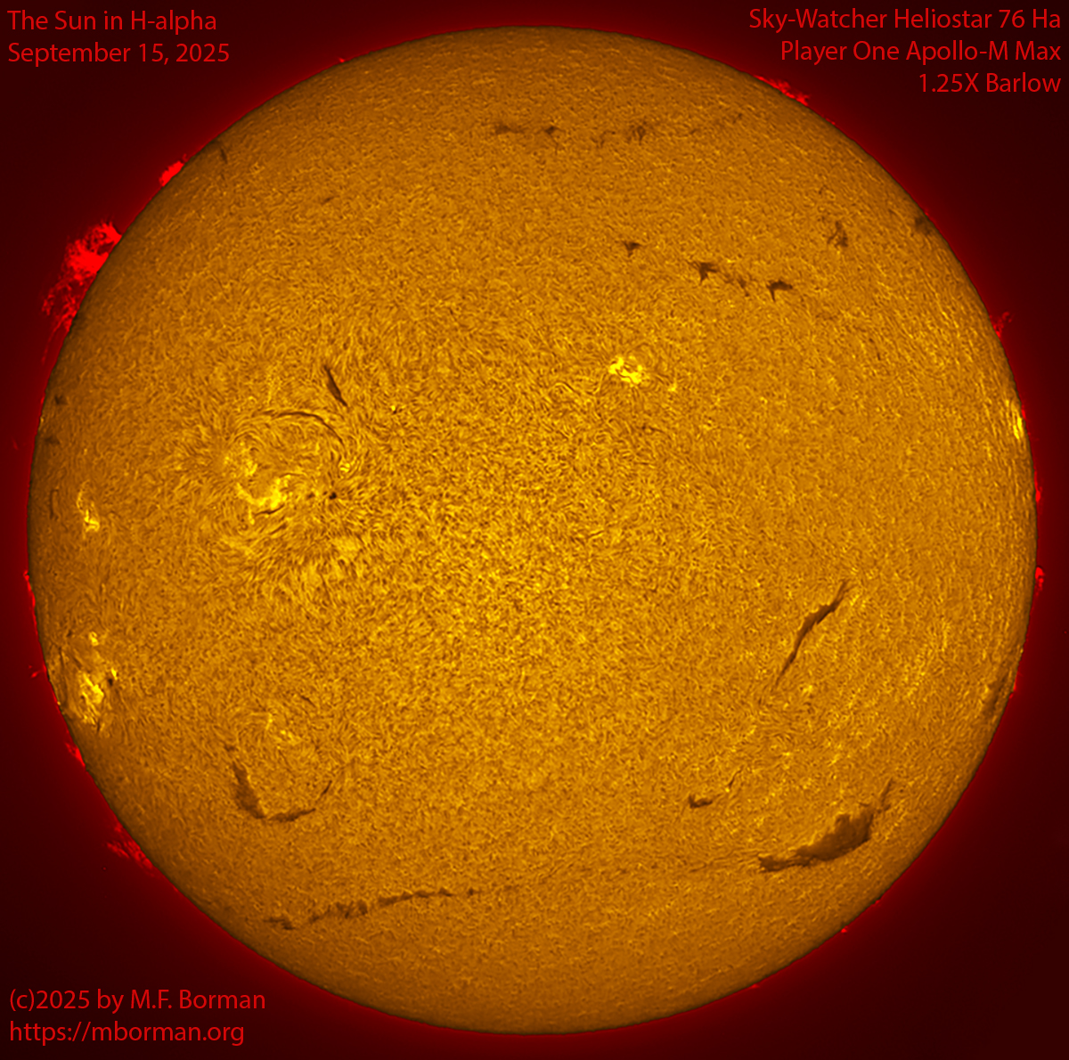 Solar image in h-alpha 09/15/25
