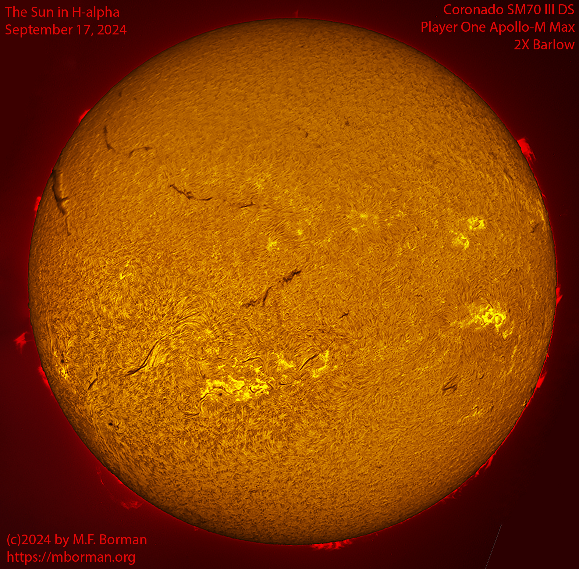 Solar image in h-alpha 09/17/24