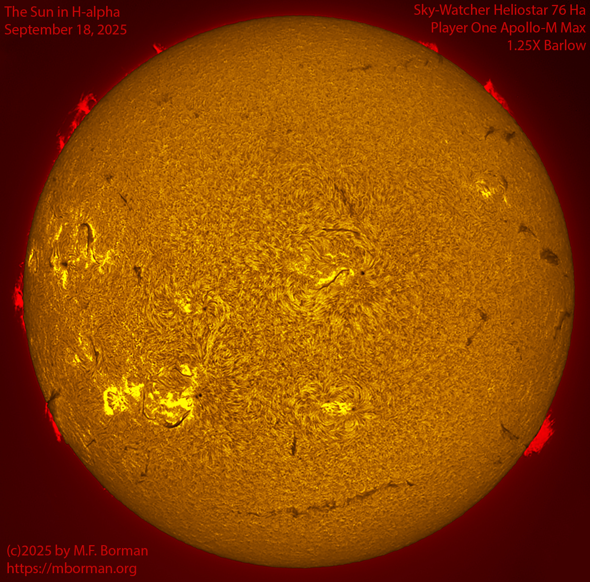 Solar image in h-alpha 09/18/25