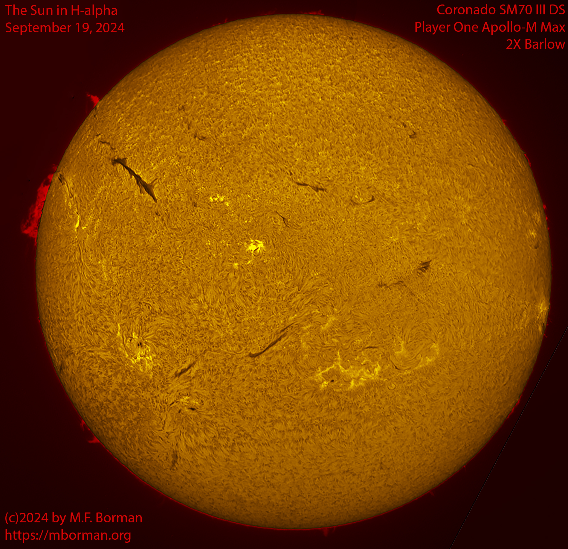 Solar image in h-alpha 09/19/24