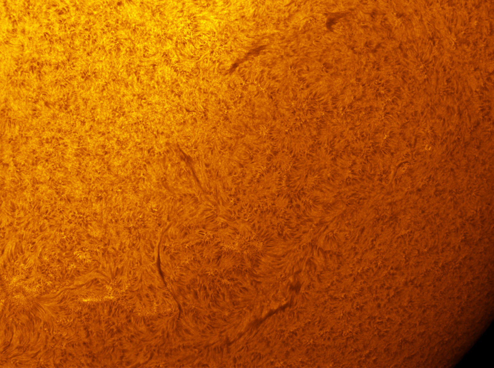 Solar filaments in h-alpha 09/22/2012