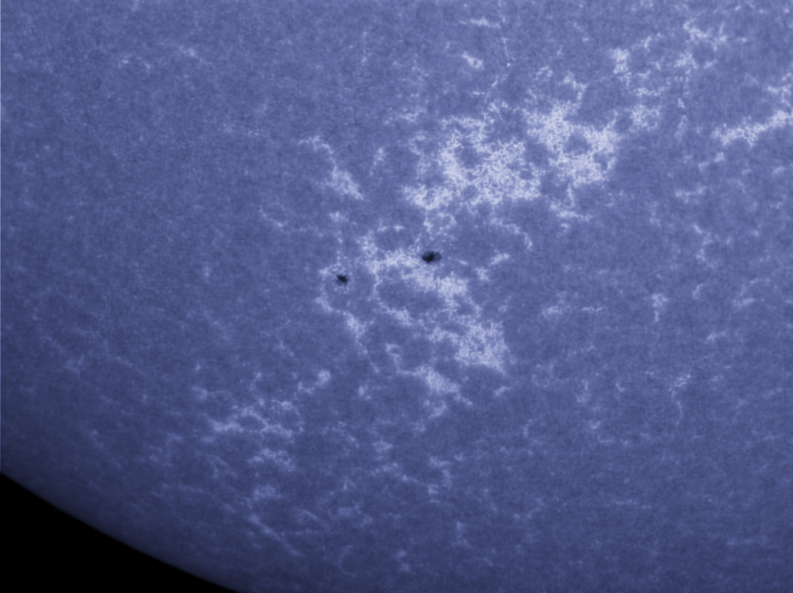 Sunspot 1576 in CaK 09/22/2012
