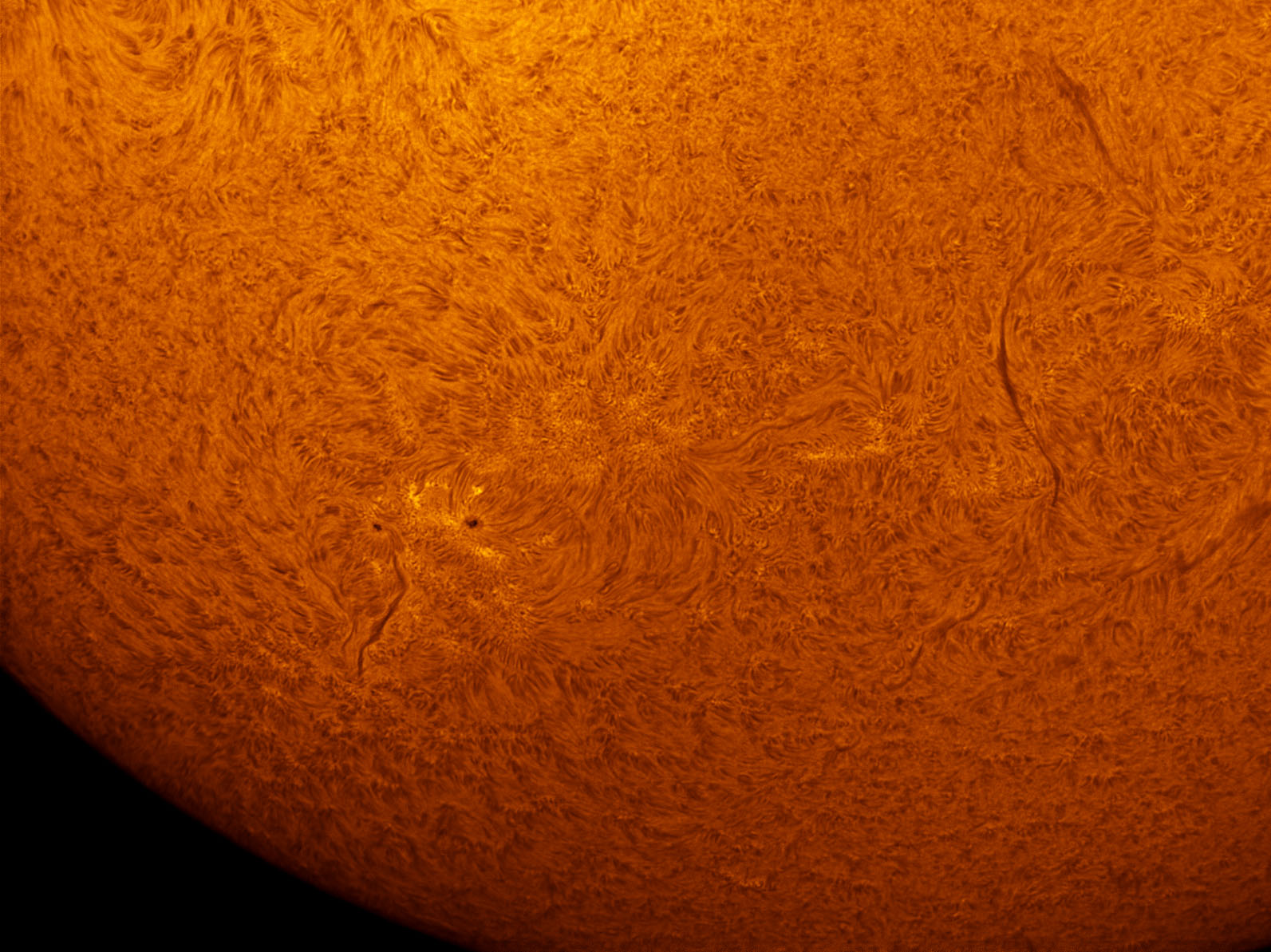 Sunspot 1576 in h-alpha 09/22/2012
