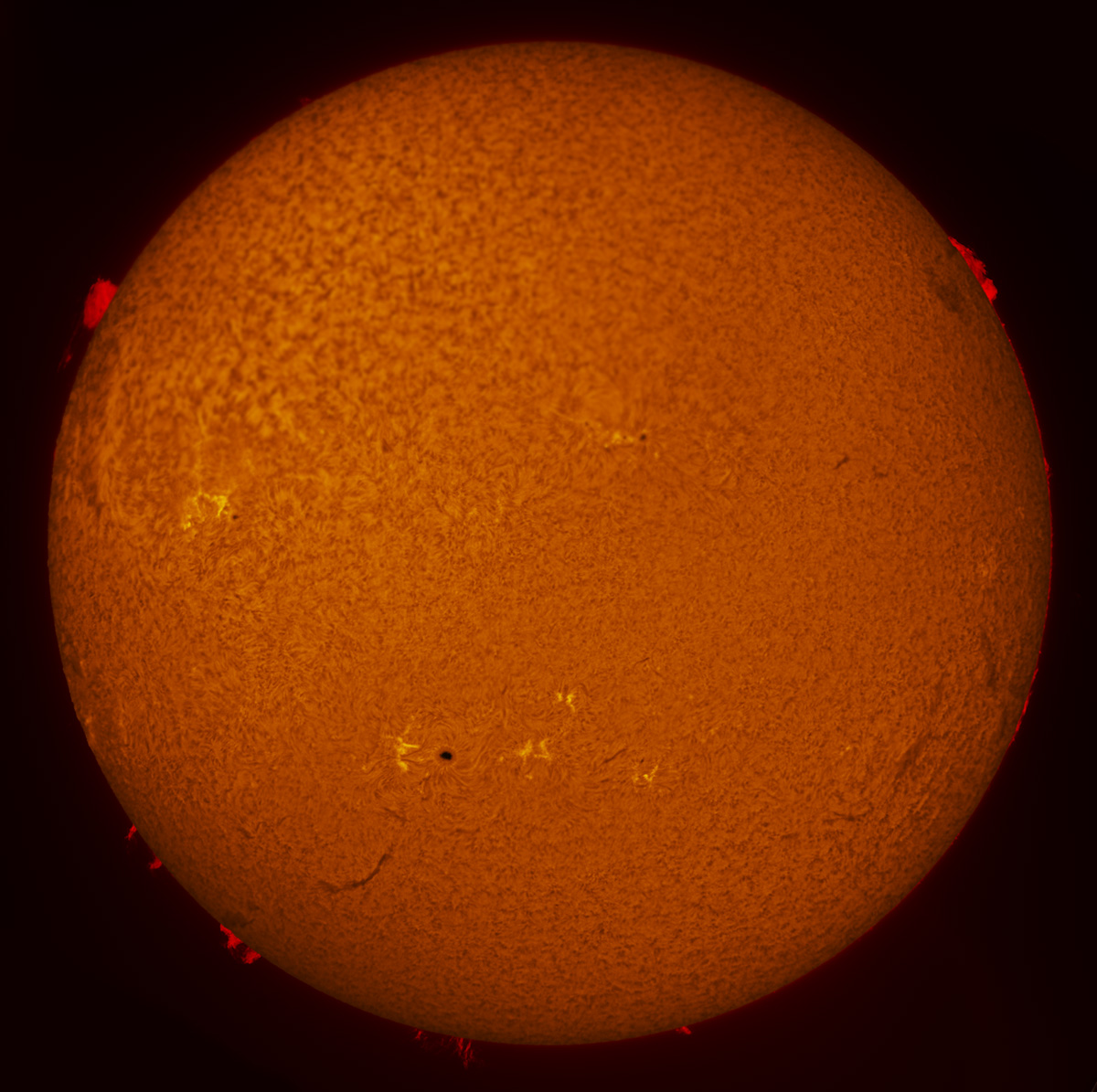 Solar Disk in h-alpha 09/22/2013