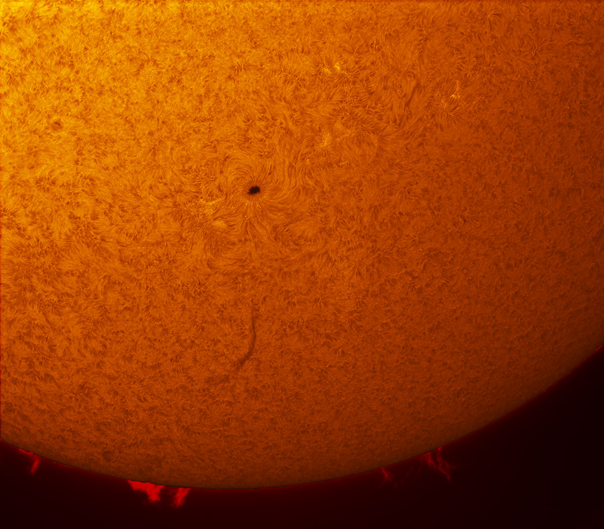 Sunspot 1846 in h-alpha 09/22/2013