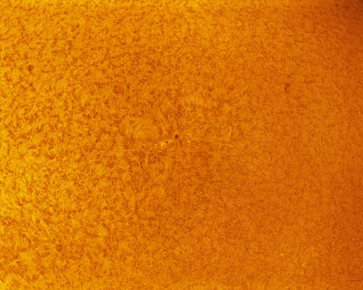 Sunspot 1849 in h-alpha 09/22/2013