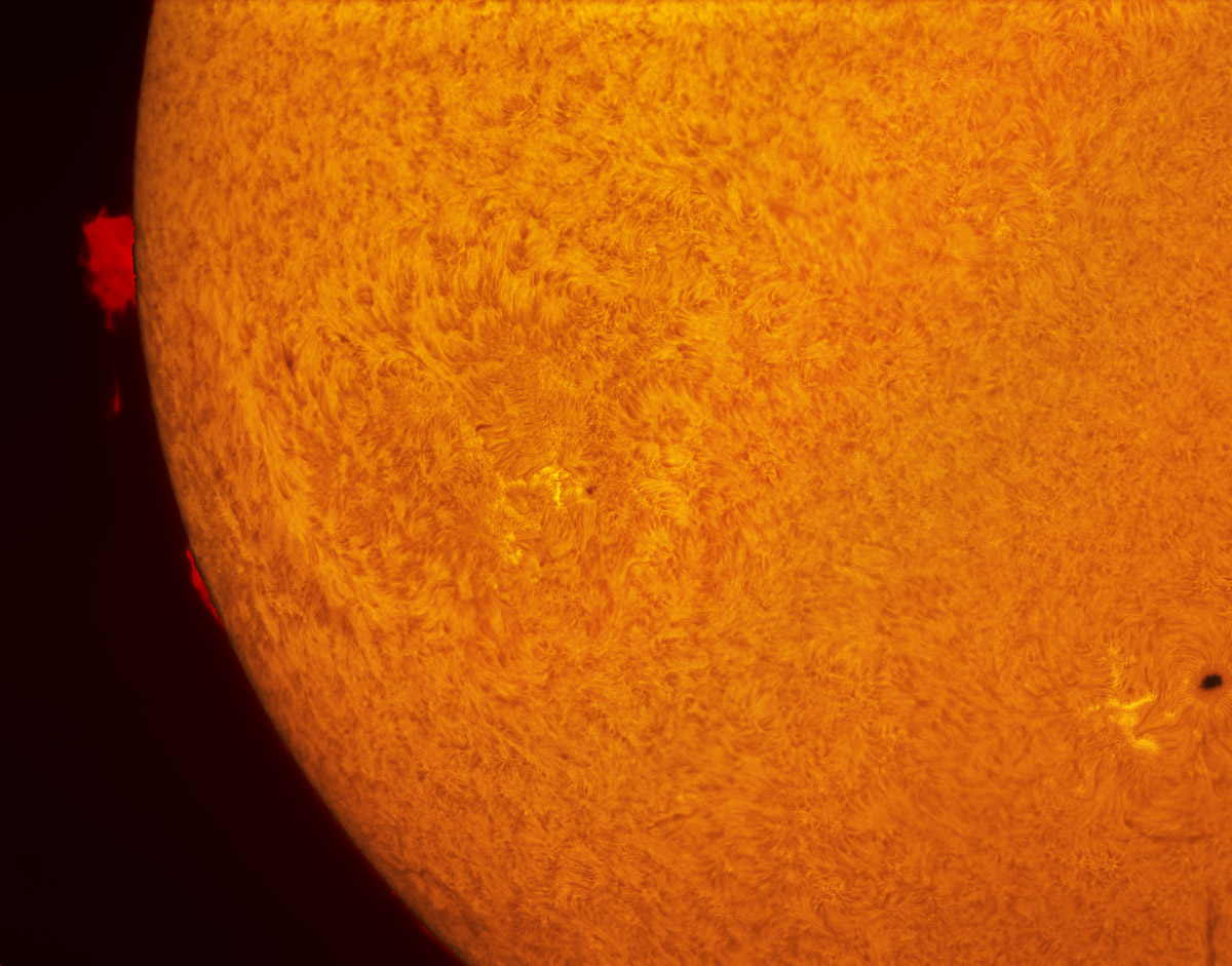 Sunspot 1850 in h-alpha 09/22/2013