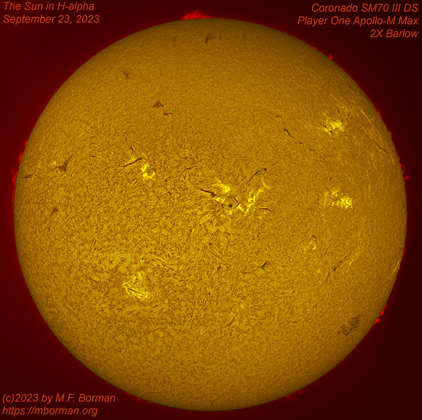 Solar disk in h-alpha 09/23/2023