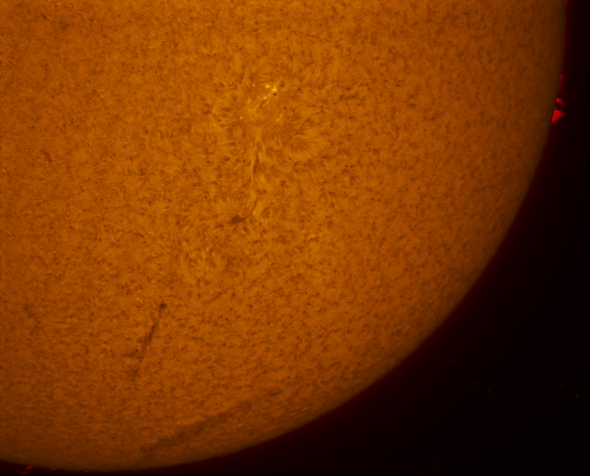 Sunspot group 2595 in h-alpha 09/24/2016