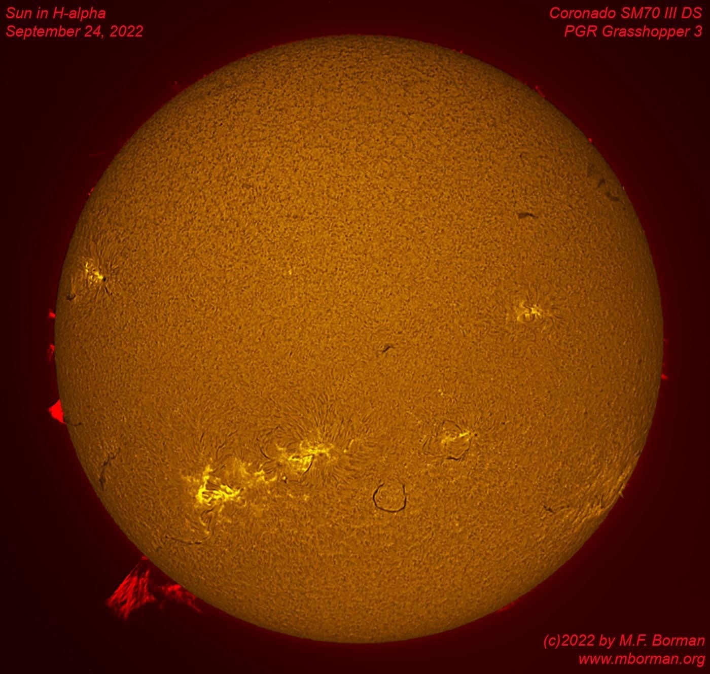 Solar disk in h-alpha 09/24/2022