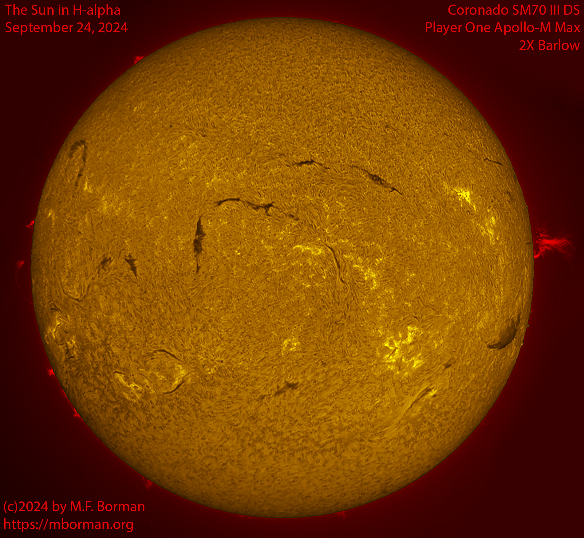 Solar image in h-alpha 09/24/24