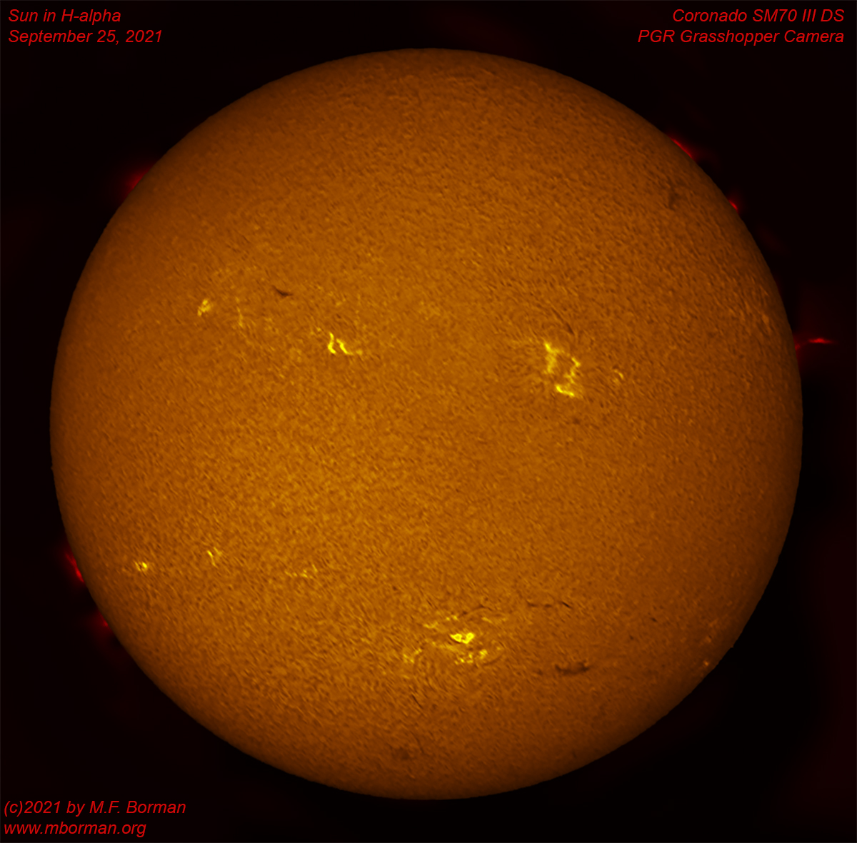 Solar disk in h-alpha 09/25/2021