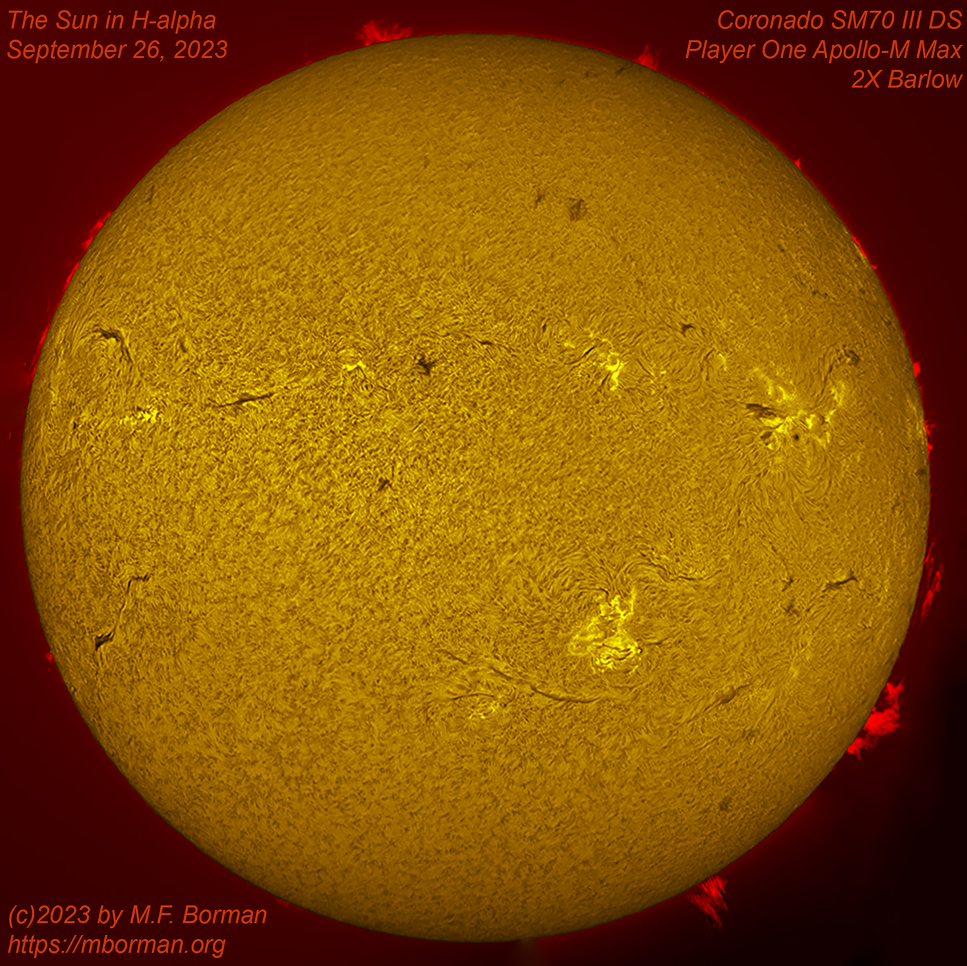 Solar disk in h-alpha 09/26/2023