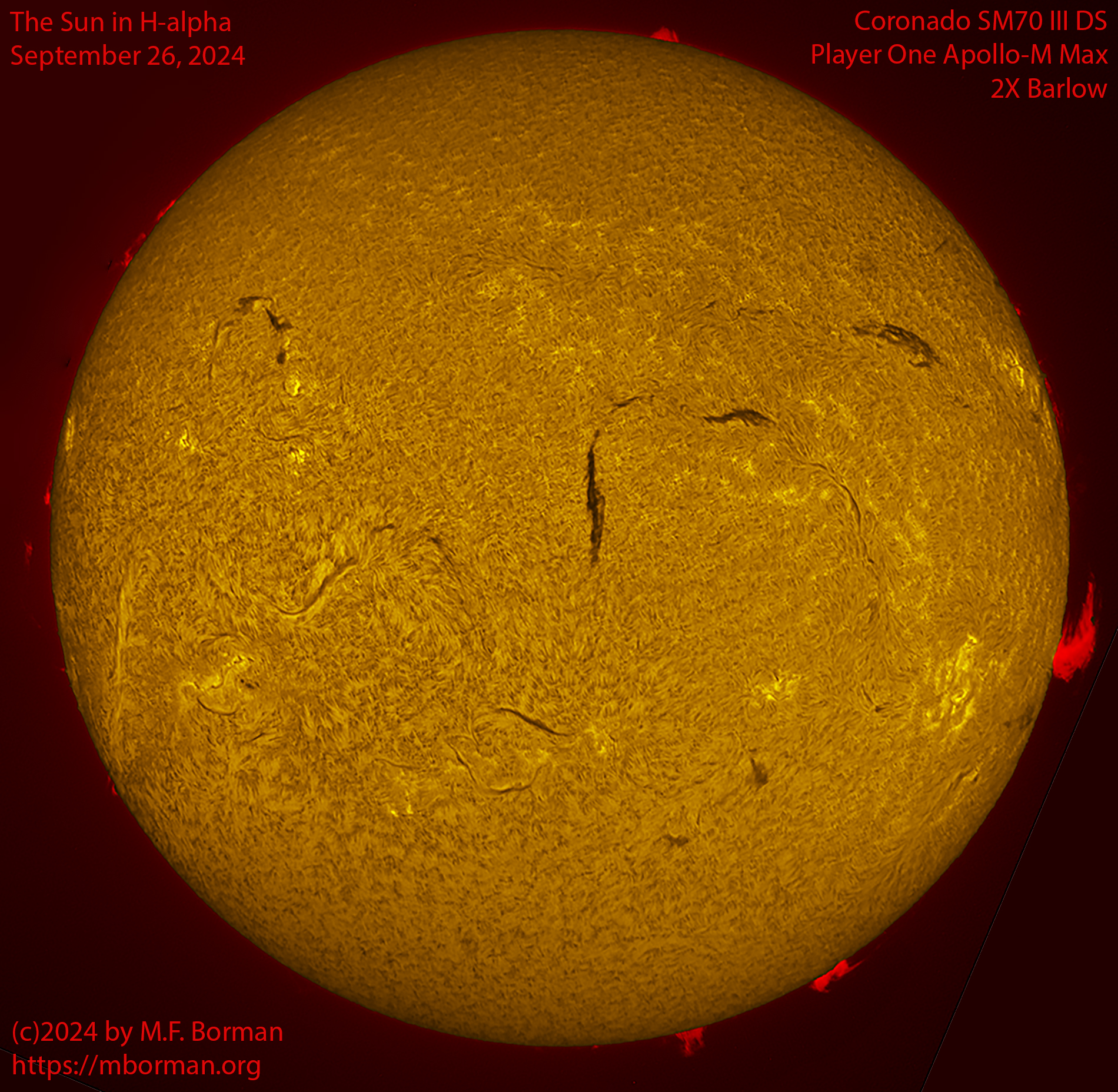 Solar image in h-alpha 09/26/24