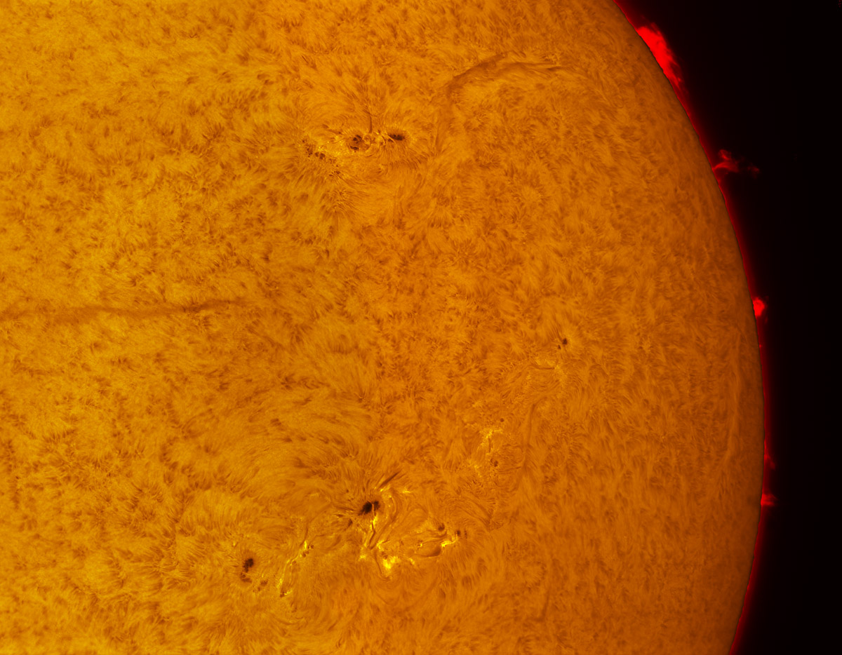 Sunspots 12171 through 12175 in h-alpha 09/27/2014