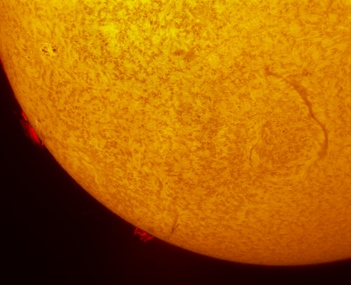 Sunspot 12177 in h-alpha 09/27/2014