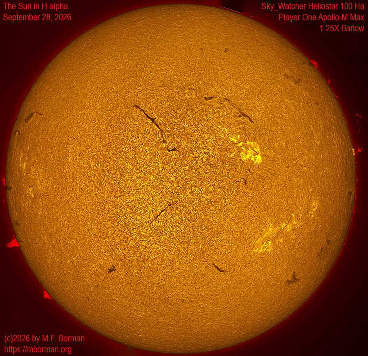 Solar image in h-alpha 09/28/26