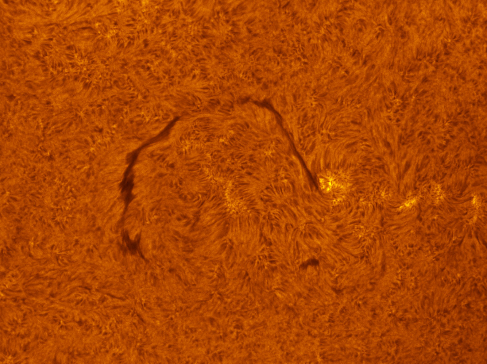 Filament in h-alpha 09/29/2012