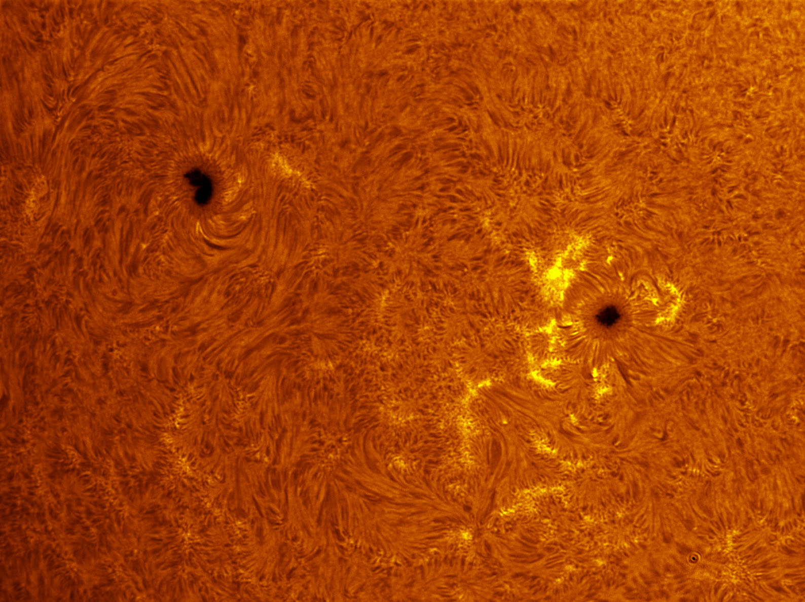 Sunspots 1579 and 1582 in h-alpha 09/29/2012