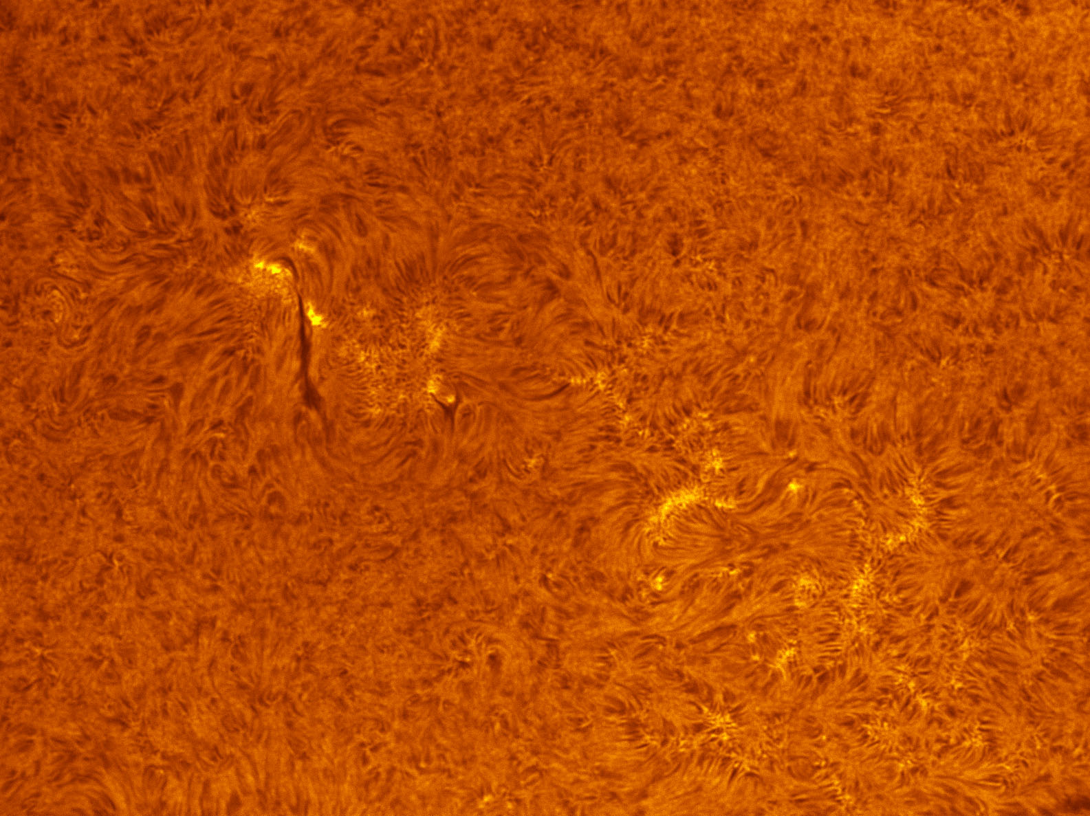 Sunspot 1580 in h-alpha 09/29/2012