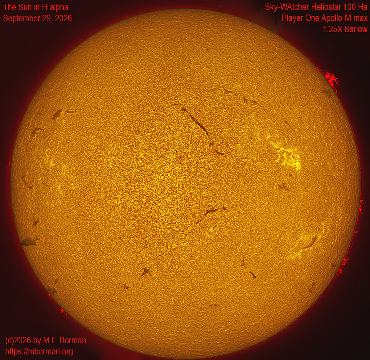 Solar image in h-alpha 09/29/26