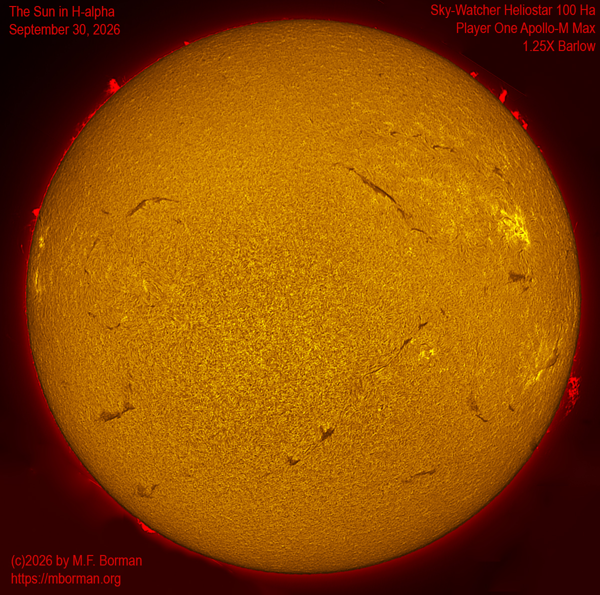 Solar image in h-alpha 09/30/26