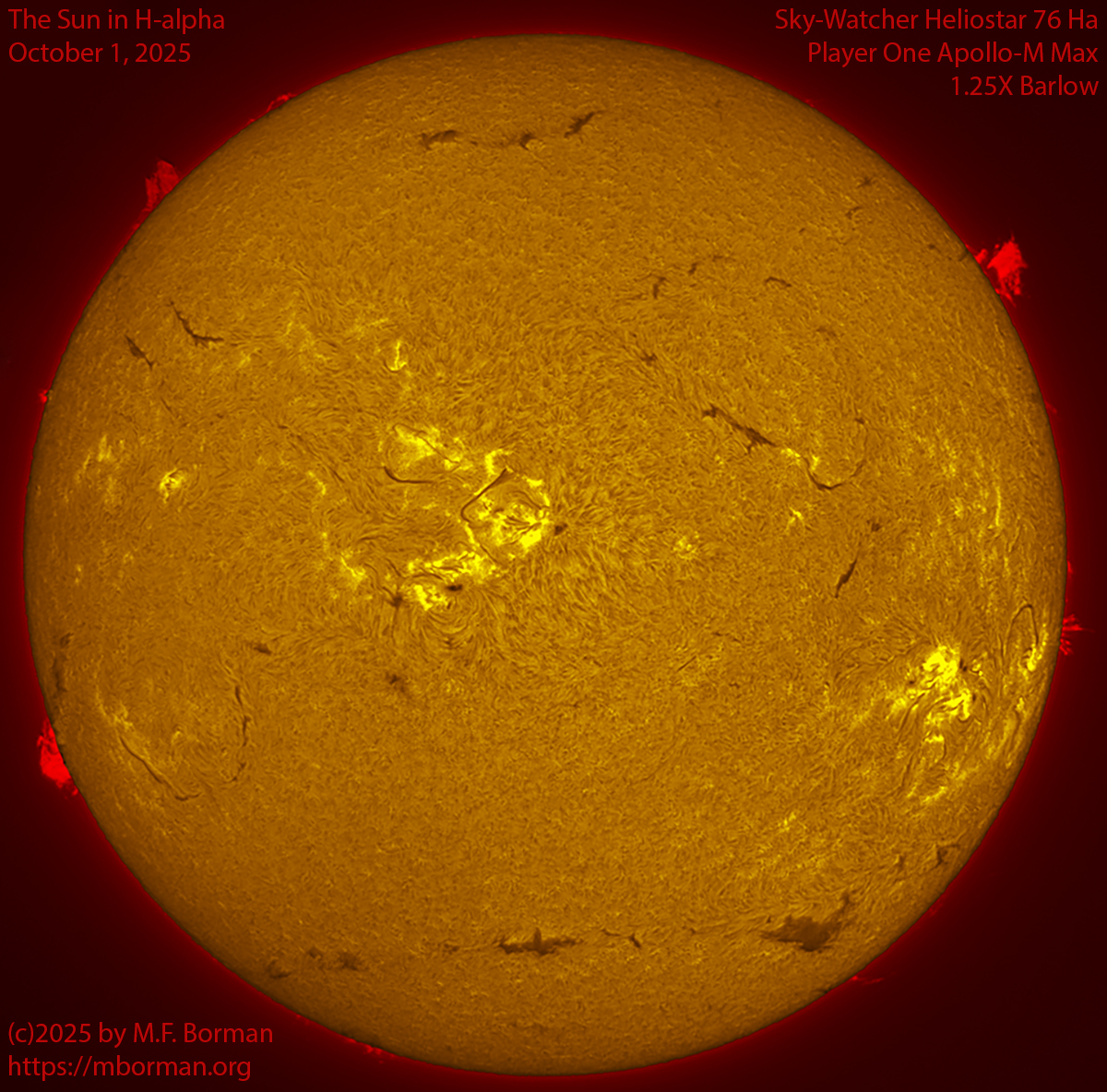 Solar image in h-alpha 10/01/25