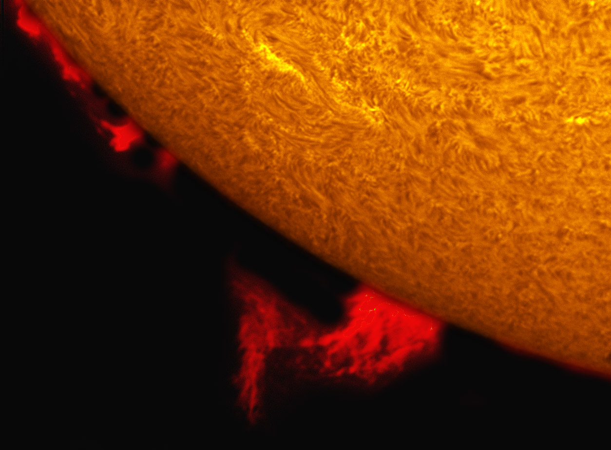 Prominences in h-alpha 10/02/2011