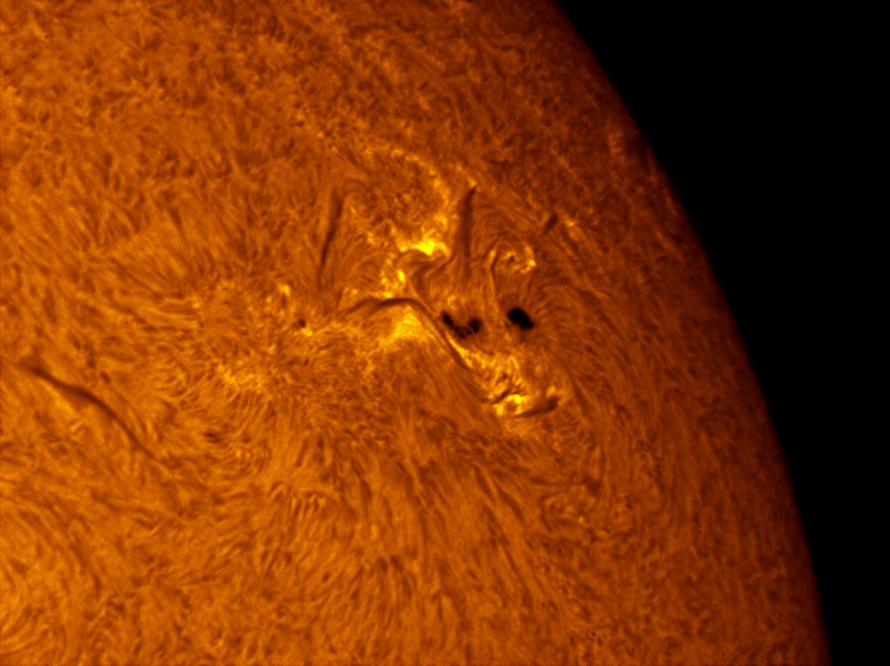 Sunspot 1302 in h-alpha 10/02/2011