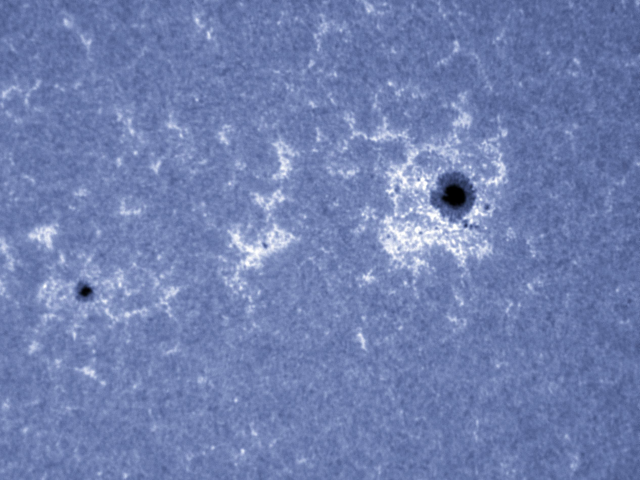 Sunspots 1305, and 1306 in CaK 10/02/2011