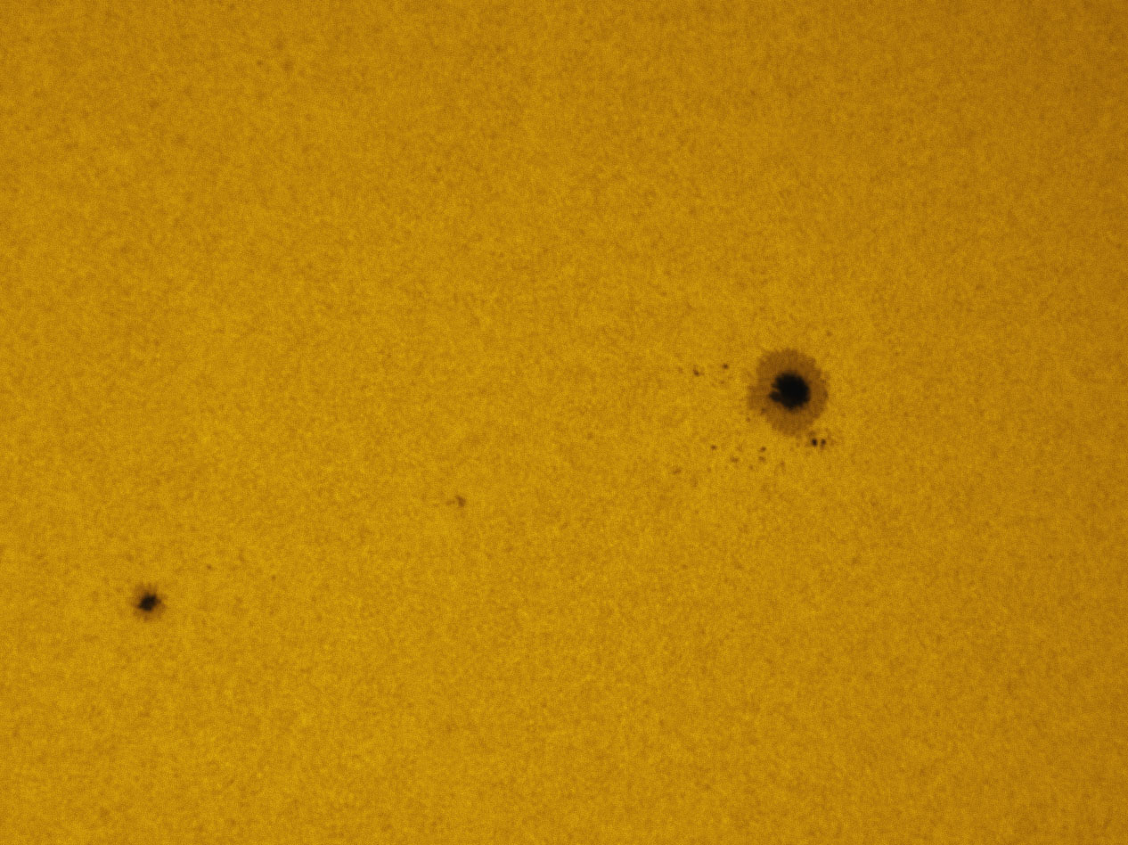 Sunspots 1305, and 1306 in white light 10/02/2011